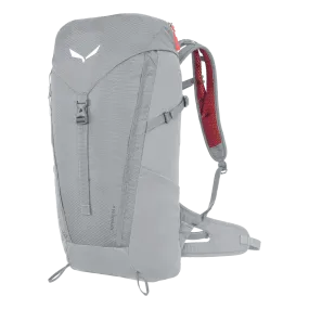 Alp Mate 24L Backpack - Alloy